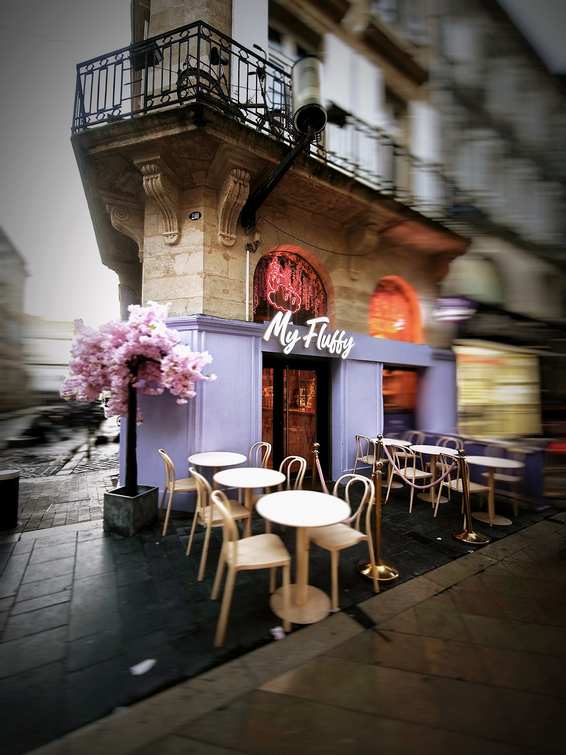 awards-img IMG 20251103 175416 Scaled